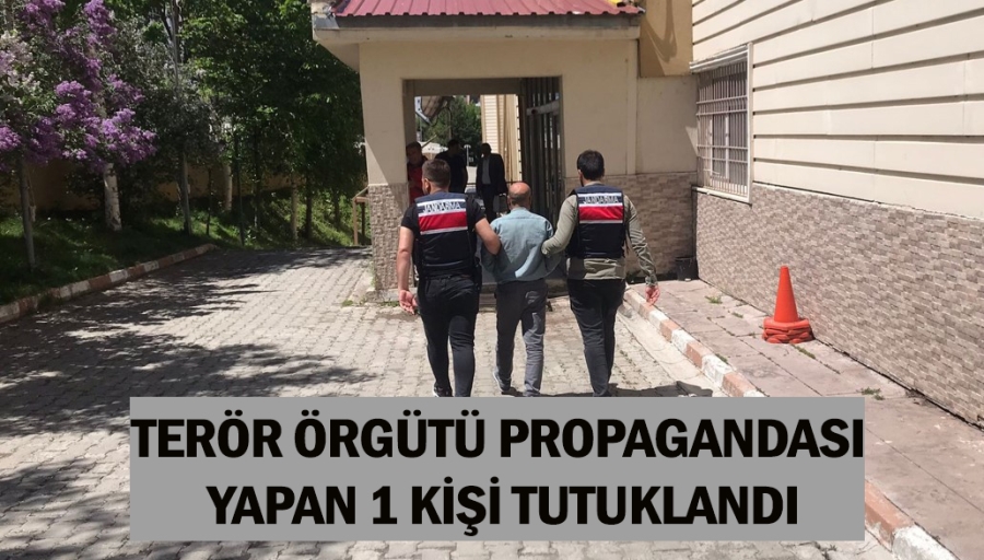 TERÖR ÖRGÜTÜ PROPAGANDASI YAPAN 1 KİŞİ TUTUKLANDI