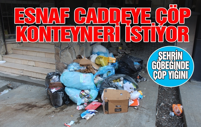 ESNAF CADDEYE ÇÖP KONTEYNERİ İSTİYOR