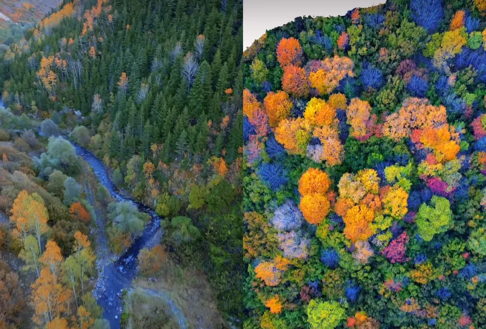 Posof, sonbaharda bir başka güzel