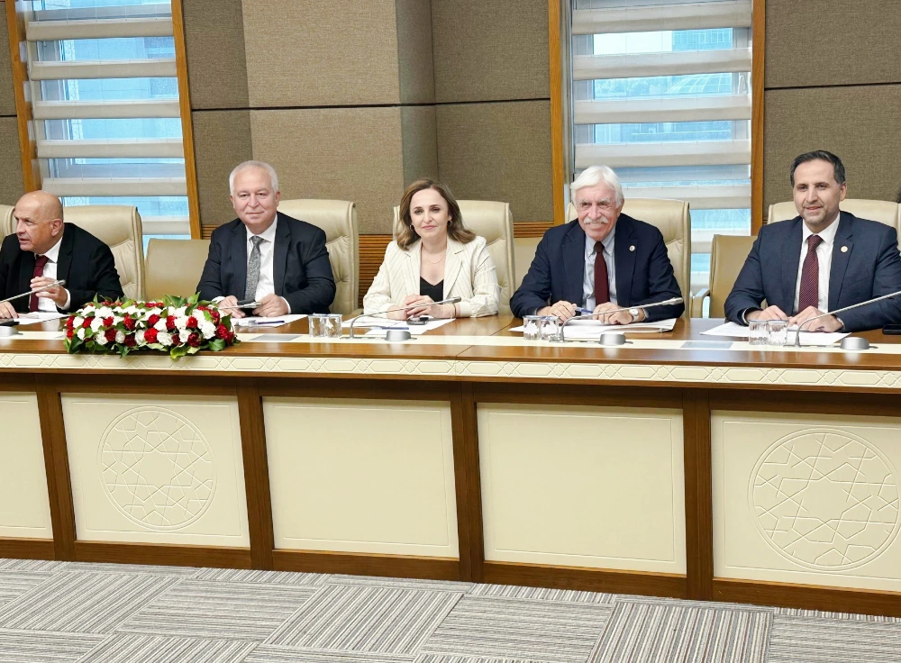 Özgür Erdem İncesu