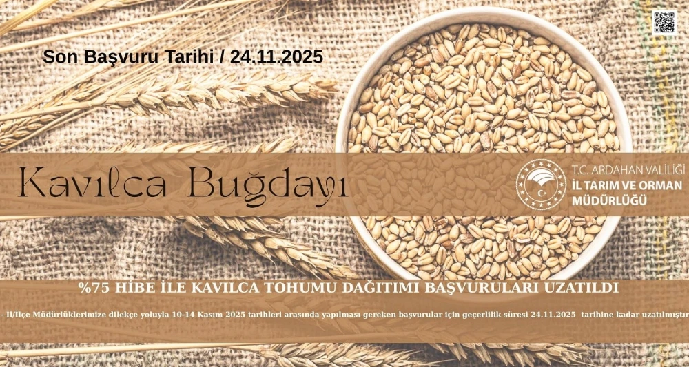 Ardahan’da Üreticiye %75 Hibeli Kavılca Tohumu Desteği