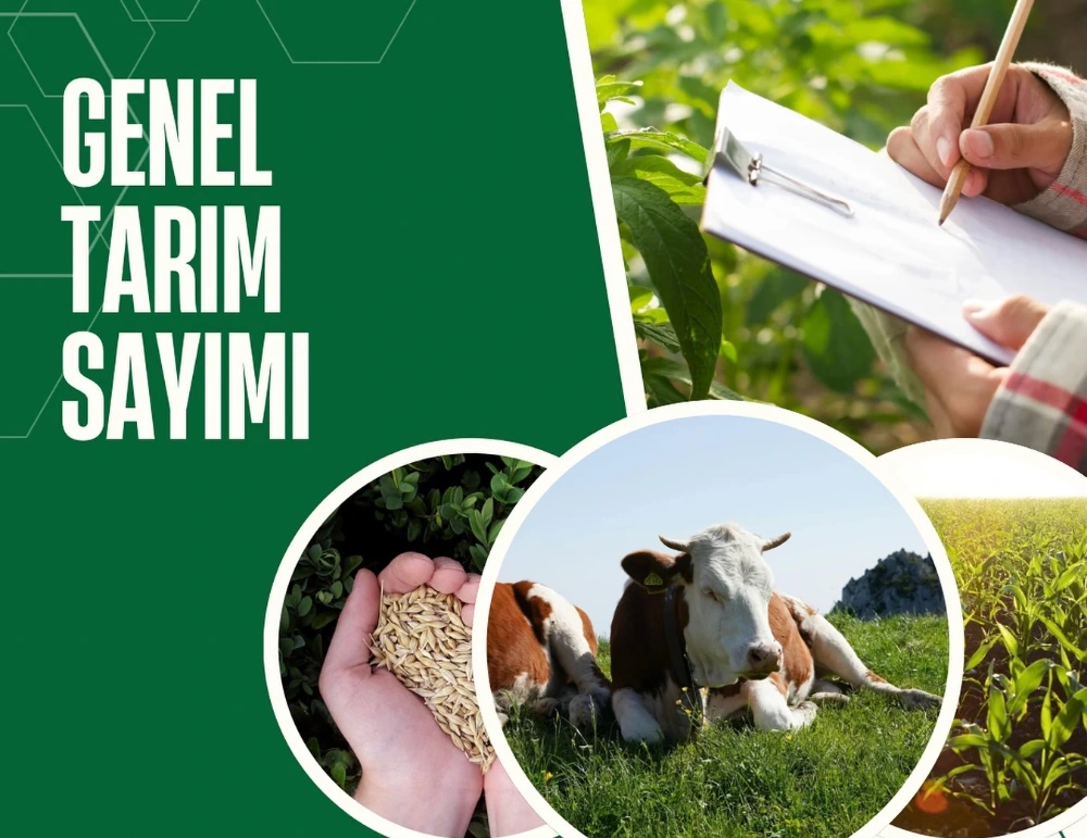 Genel Tarım Sayım Çalışmaları devam ediyor