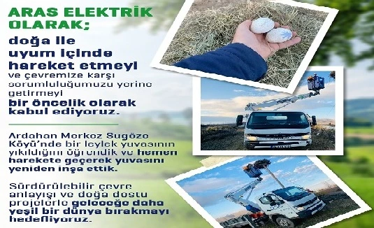 Ardahan’da Leylek Yuvası Yeniden Hayata Döndü