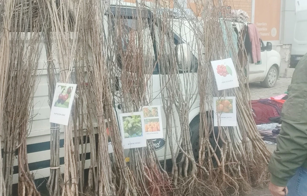 Meyve fidanı satışları başladı