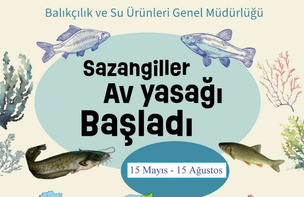   Ardahan