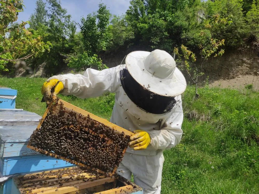Arıcılar yeni sezona hazırlanıyor