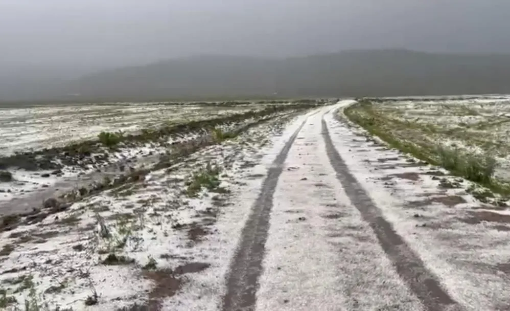 Dolu, ekili arazilere zarar verdi
