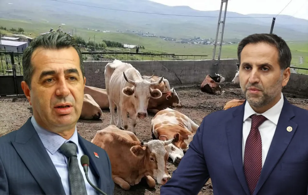 CHP’den şap alarmı: Kurmaylar Ardahan’da sahaya iniyor