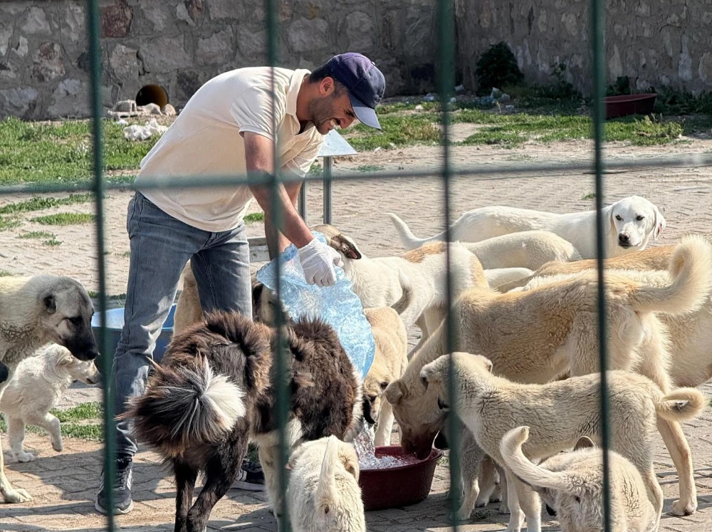 Başkan Çamliyurt, Can Dostlarımız Unutulmadı